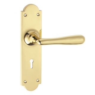 Elegance Lever on Plate Door Handle