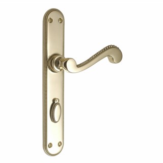 Georgian Door Handle on Lock Plate