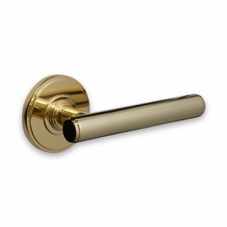 Contemporary Door Handle on Covered Rose